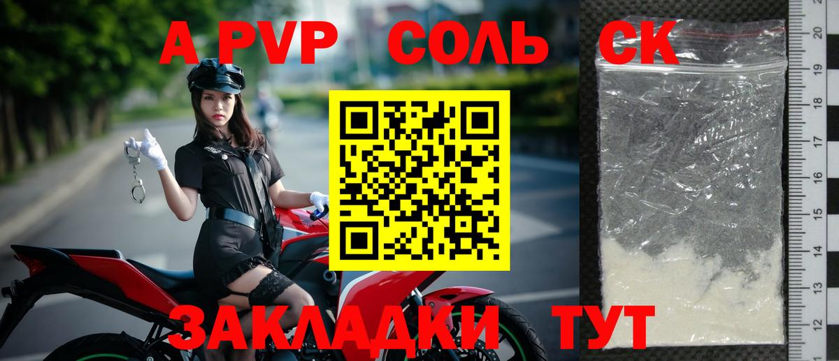 Alfa_PVP крисы CK Камень-на-Оби