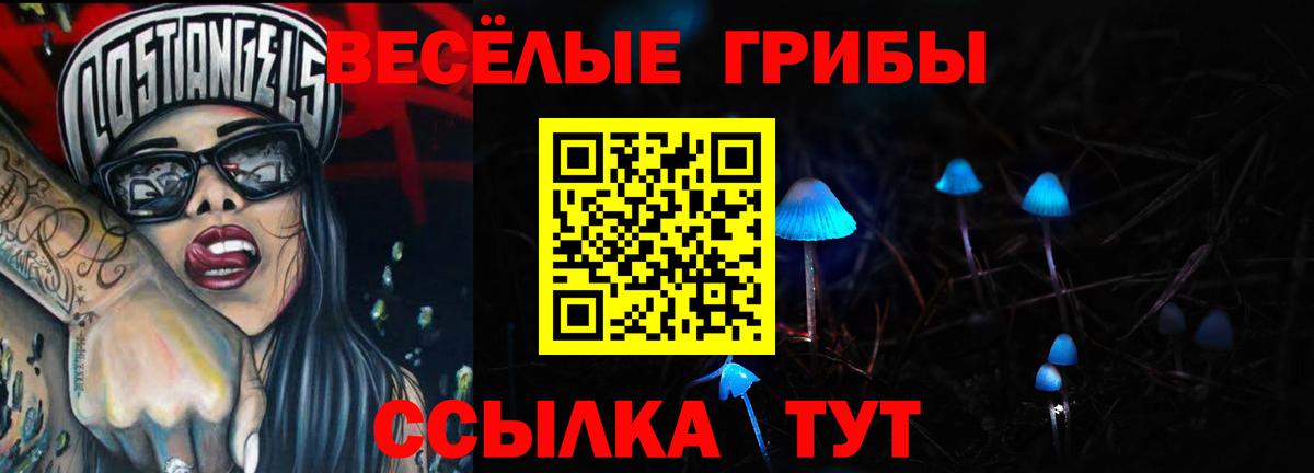 Галлюциногенные грибы Psilocybe Камень-на-Оби